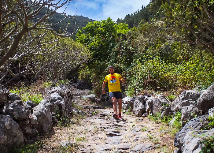 酒店 洛西洛斯珊瑚酒店