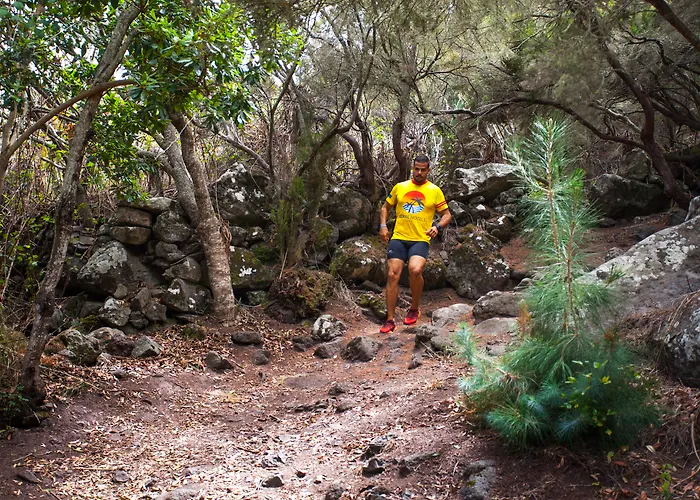 酒店 洛西洛斯珊瑚酒店 *